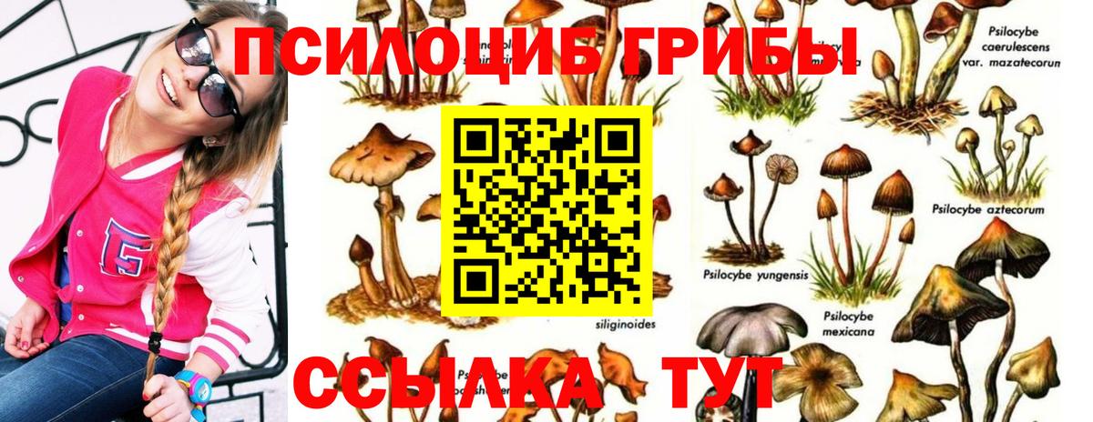 Псков  Галлюциногенные грибы Psilocybine cubensis  Вход с VPN 